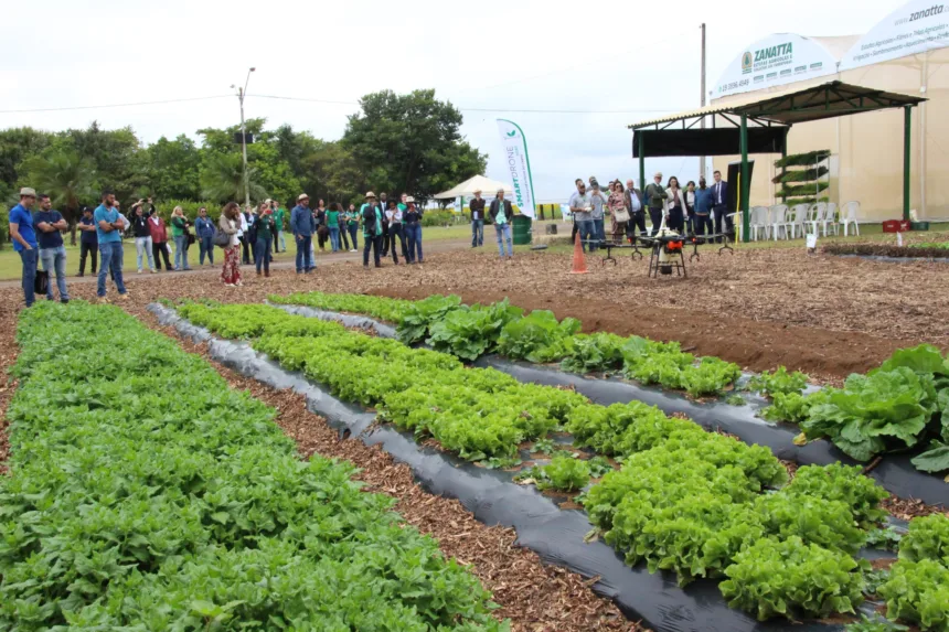 AgroBrasília leva tecnologia e conhecimento para produtores rurais - Agita  Brasília