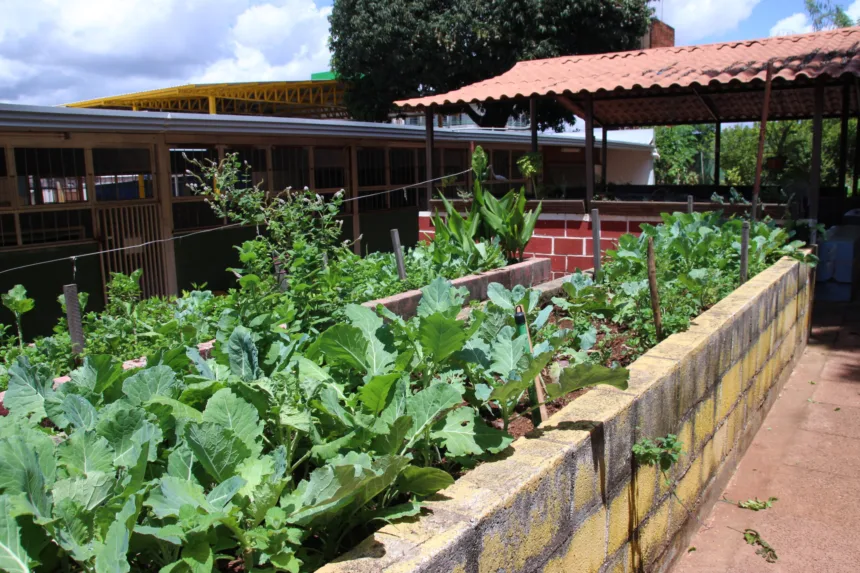 Empreendedorismo e educação ambiental em escolas públicas urbanas e rurais  - Agita Brasília