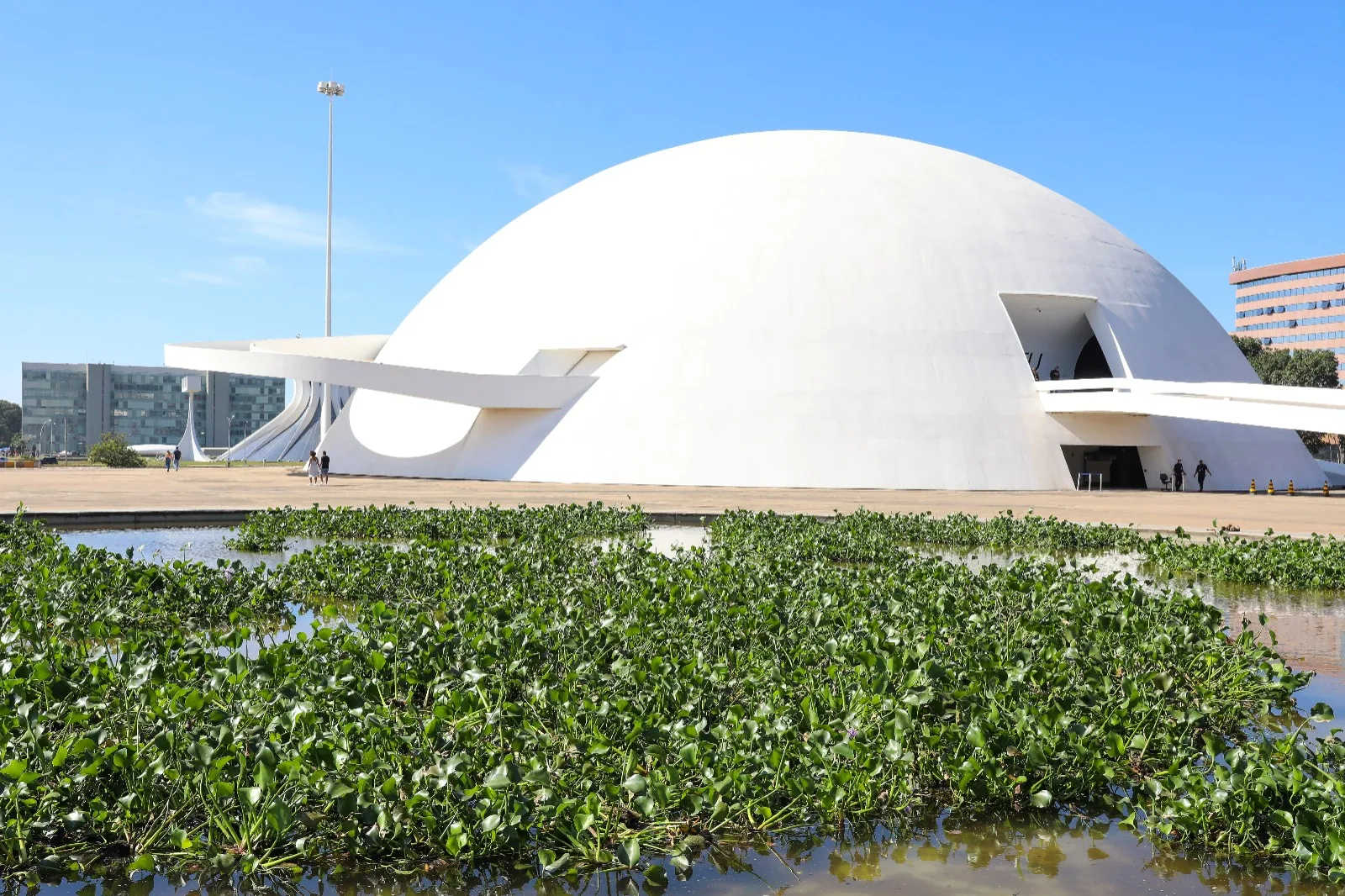 Museu Nacional promove exposição de jardim flutuante nos espelhos d'água -  Agita Brasília
