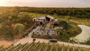 Vinícolas perto de Brasília - Villa Triacca