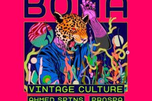 boma-festival-brasilia-qtwxsx4jzu0vrg8kbdd3ffo01ylx02sy80ac594ros