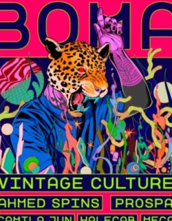 boma-festival-brasilia-qtwxsx4jzu0vrg8kbdd3ffo01ylx02sy80ac594ros